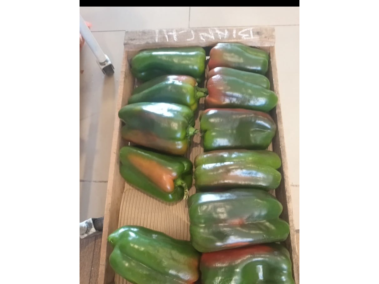 Pimiento verde