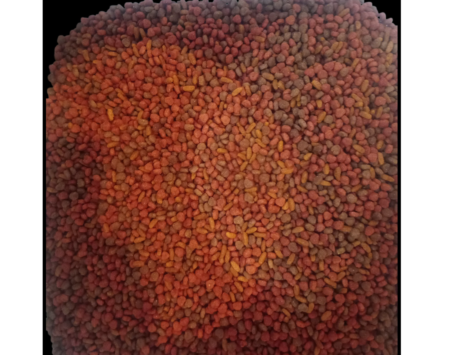 Nutribon gato 1 kg