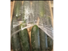 Pepinos