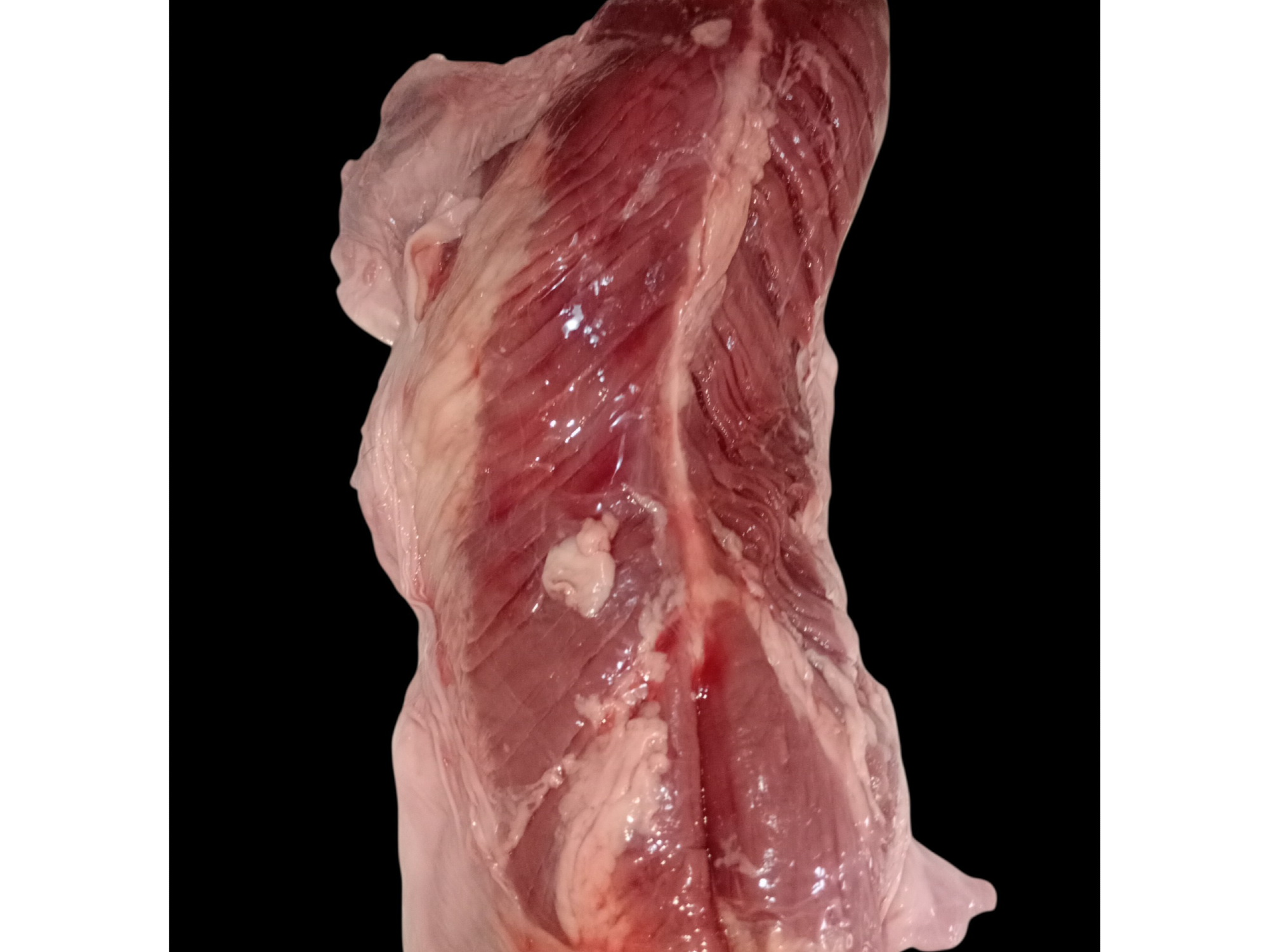 Entraña