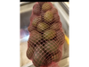 Palta cod 2