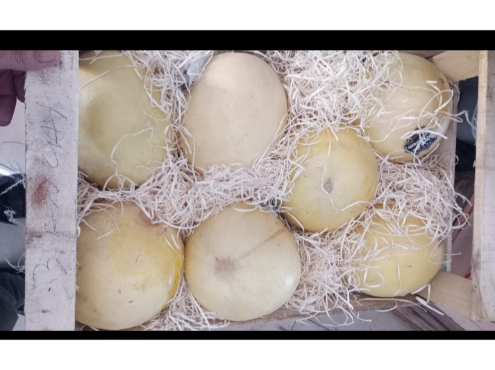Melón c/u