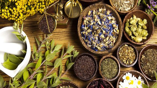 HERBORISTERIA, BOTANICOS, HIERBAS Y YERBA