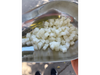 COCO EN CUBOS