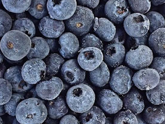 Arándanos Congelados
