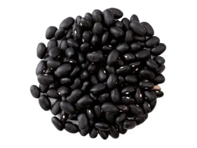 Poroto Negro