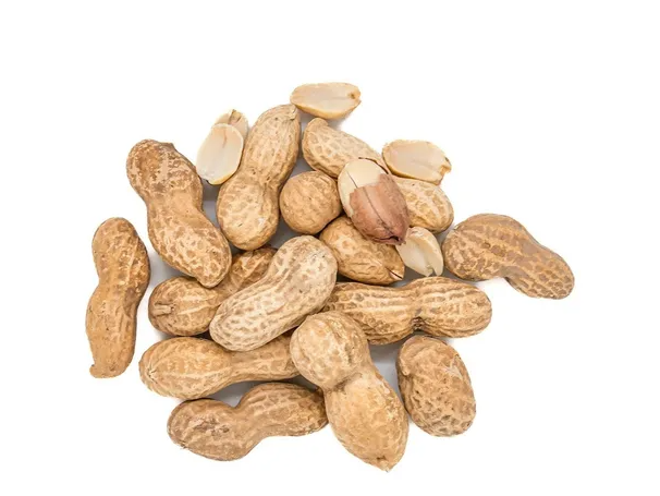 Mani con Cáscara Premium