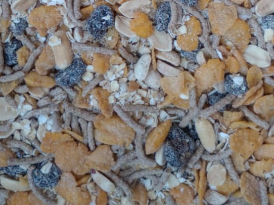 Granola Sin Azucar 1 kg