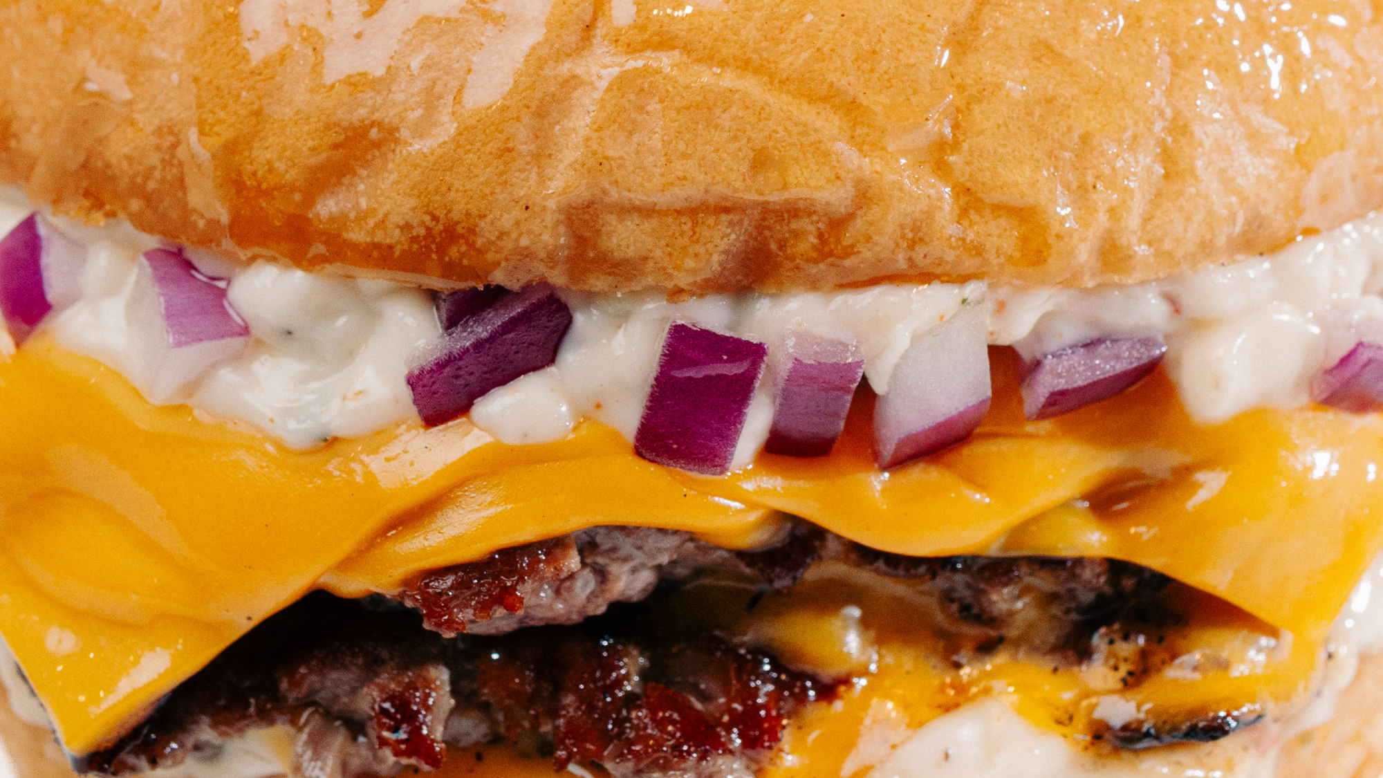 HAMBURGUESA EDICION LIMITADA