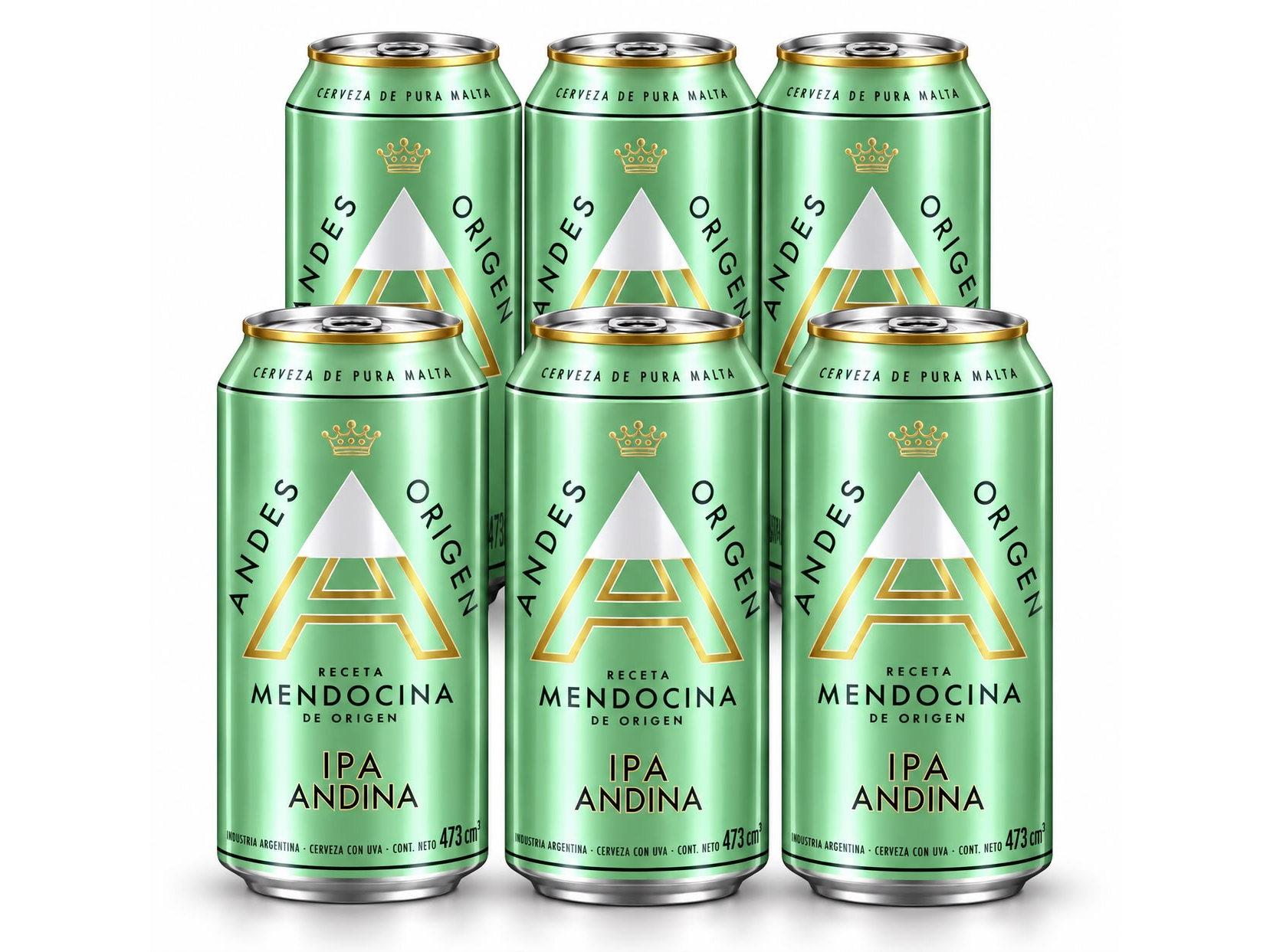 SIX PACK ANDES IPA