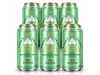 SIX PACK ANDES IPA