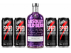 ABSOLUT + 4 SPEED 250ML