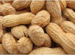 MANI CON CASCARA POR KILO