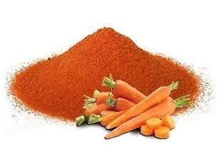 Zanahoria en Polvo
