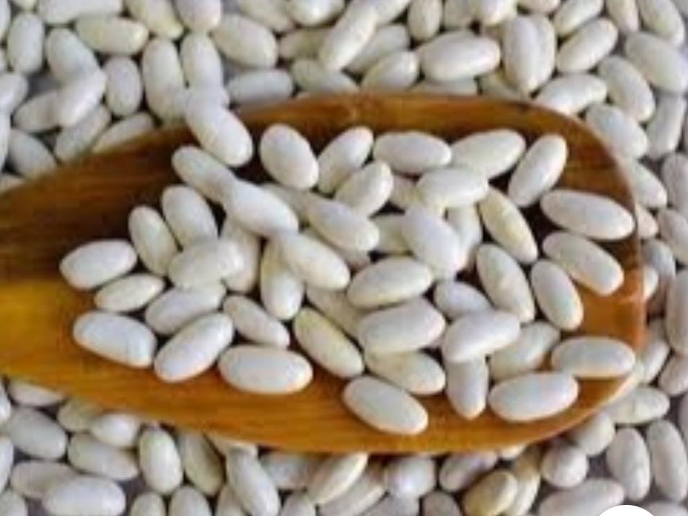 Porotos de alubia