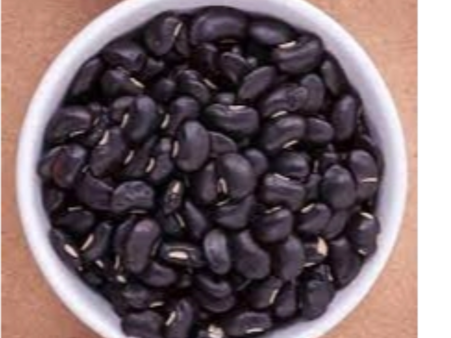 POROTO NEGRO