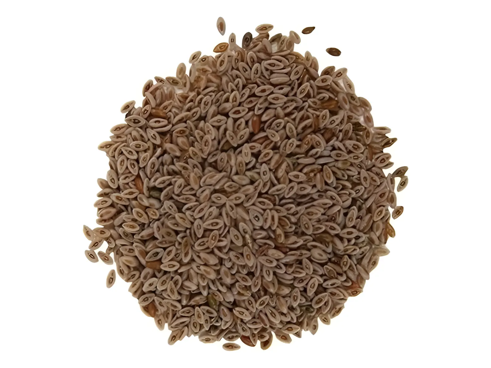 PSYLLIUM