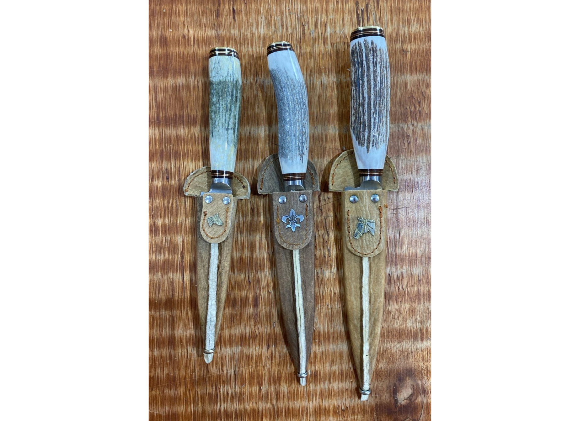 Cuchillo inox ciervo vaina cruda 12cm 14cm 16cm