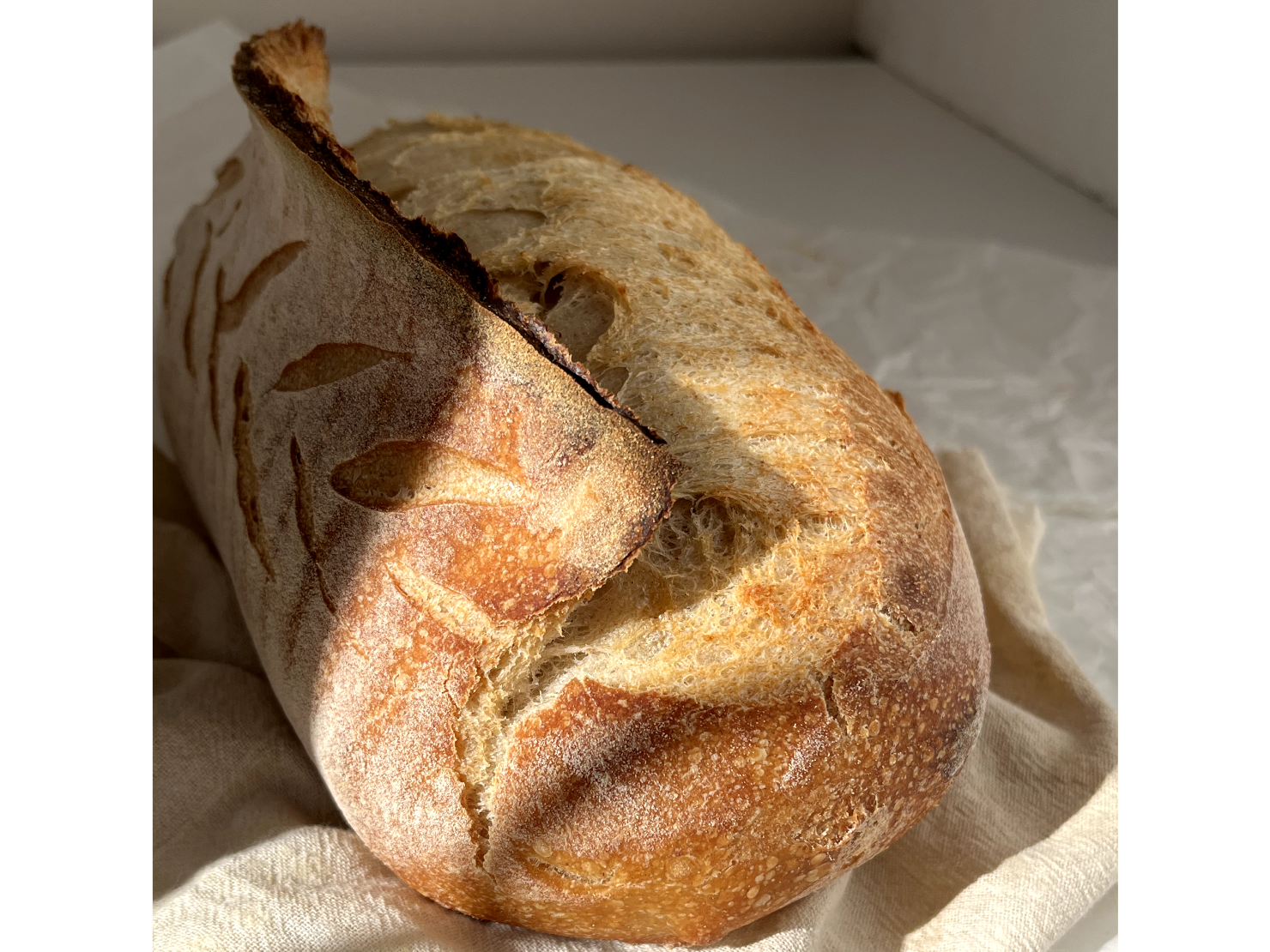 Pan de campo