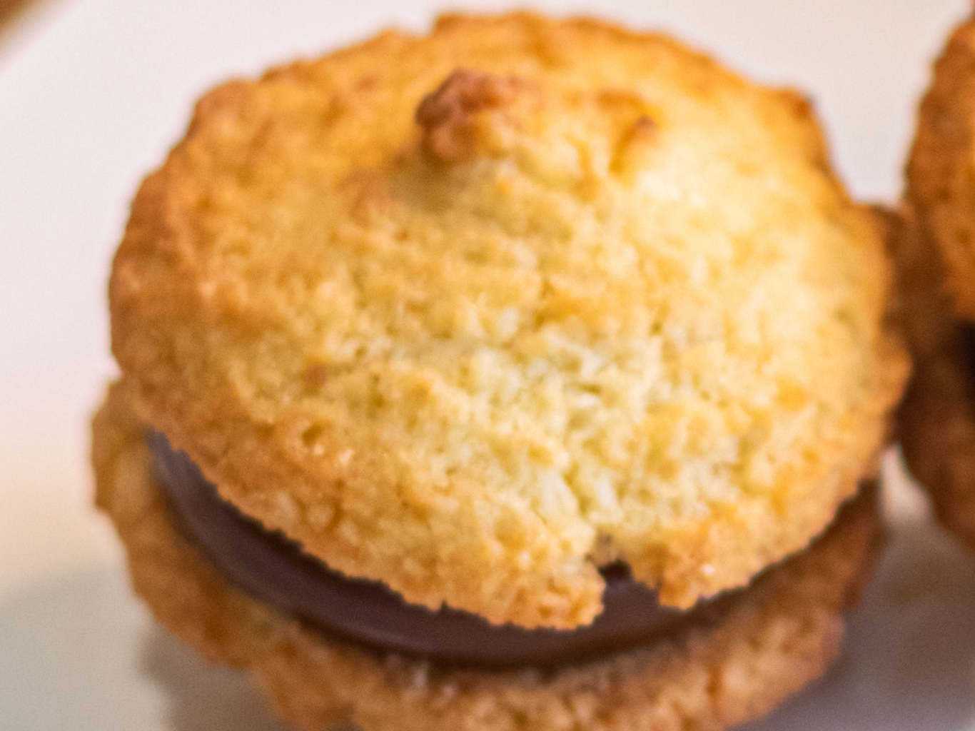 Coco y dulce de leche grande