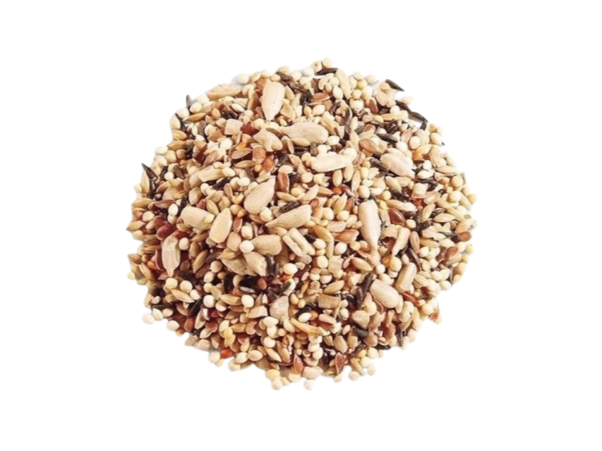 Mix de semillas x 100gr