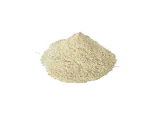 Cebolla en polvo x 50gr