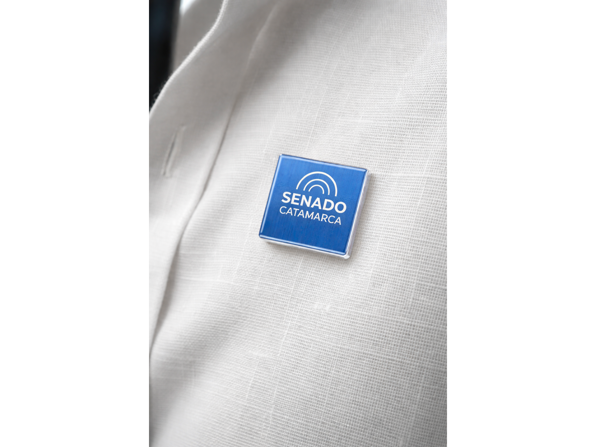 PINES IMANTADOS ACRILICO COLOR