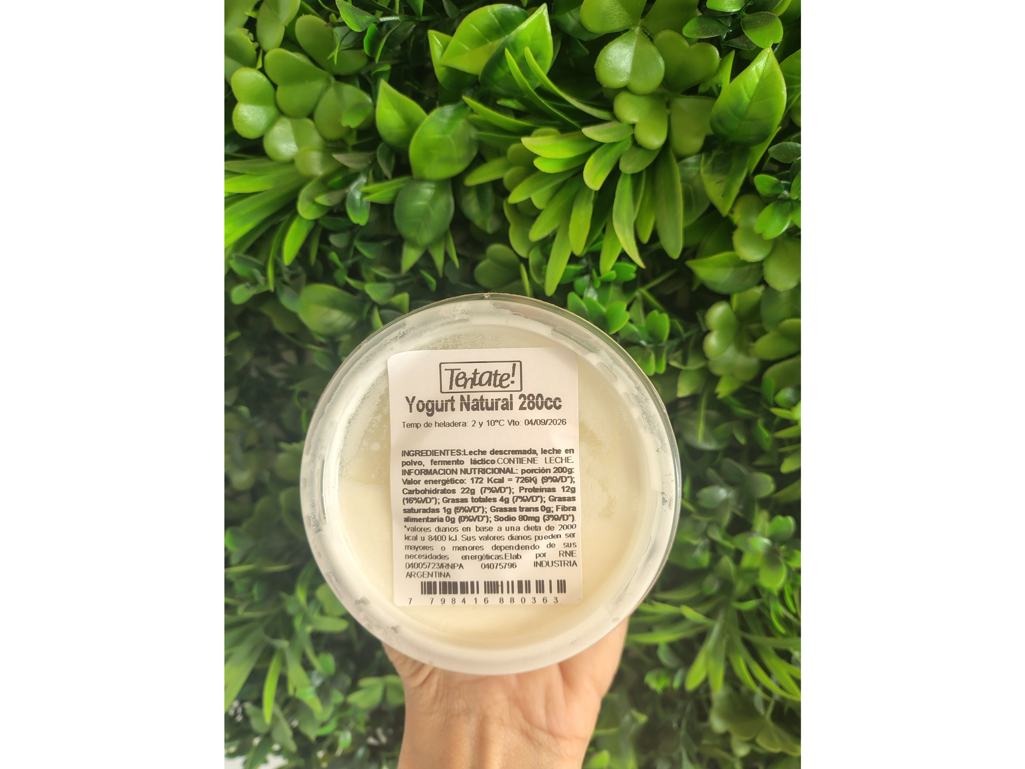 Yogurt natural TENTATE x 280cc