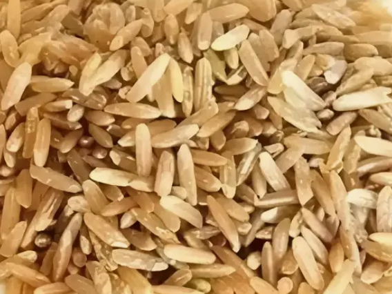 Arroz integral