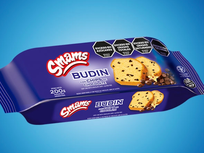Budin