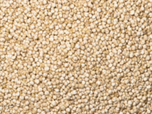 Quinoa blanca