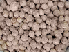 Sorgo pop