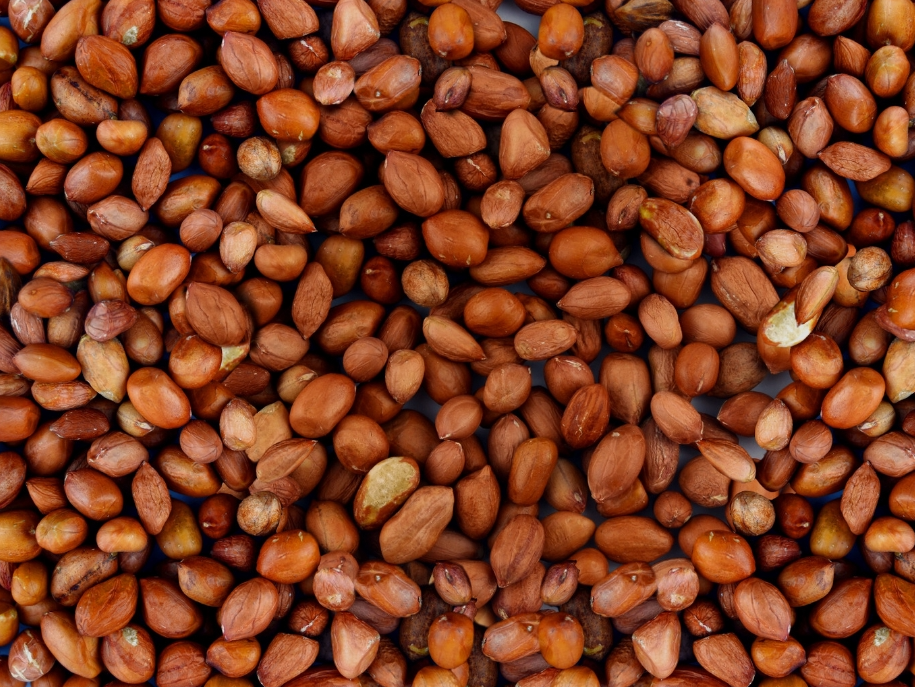 Maní crudo