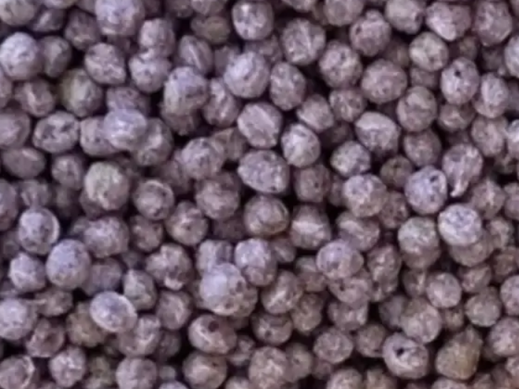 Quinoa pop con arándanos