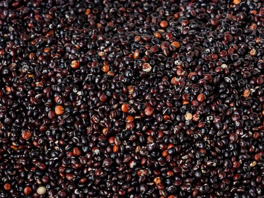 Quinoa negra