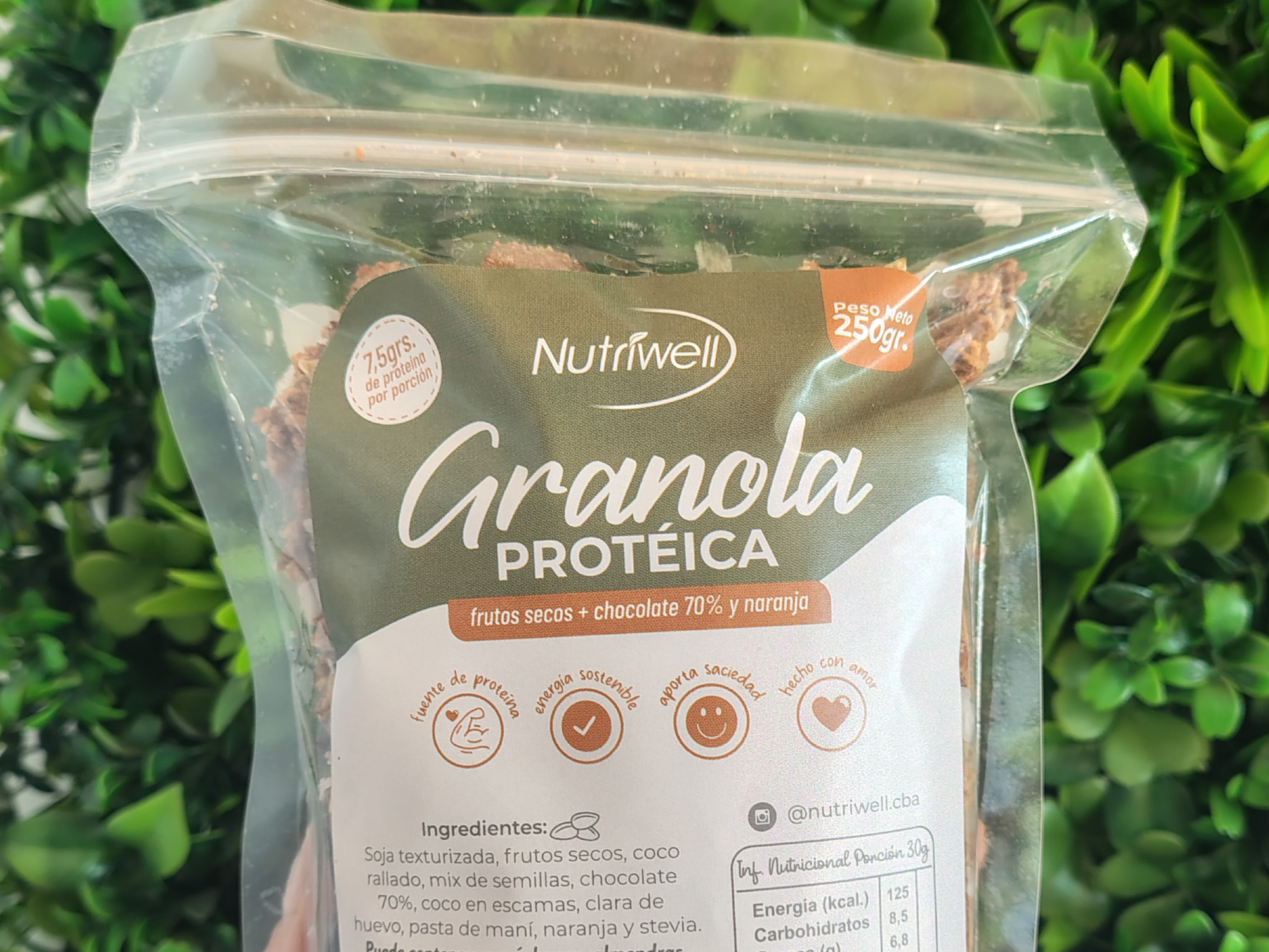 Granola proteica NUTRIWELL