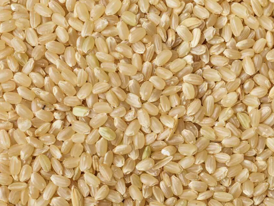 Arroz yamaní