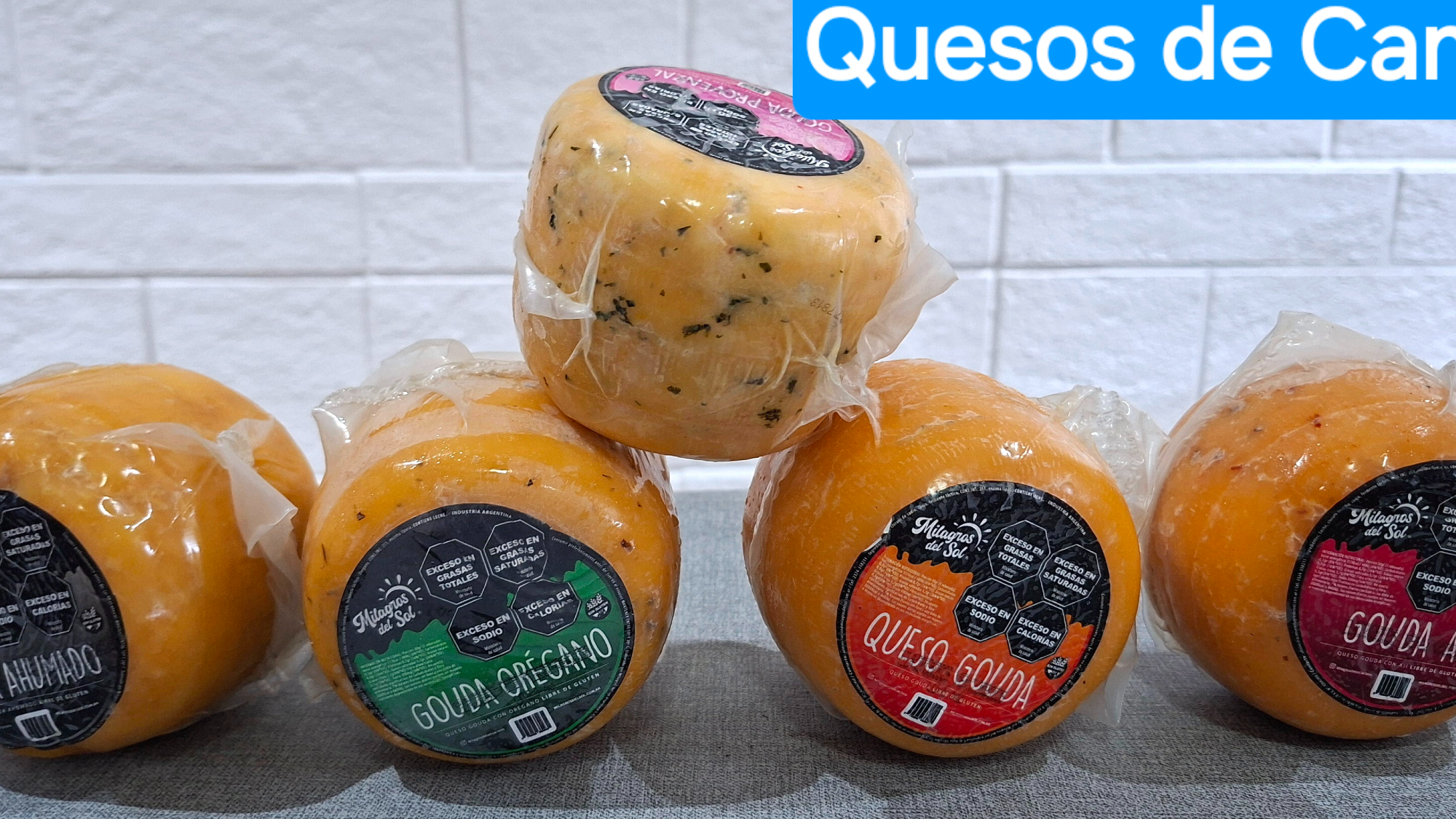 Quesos por horma