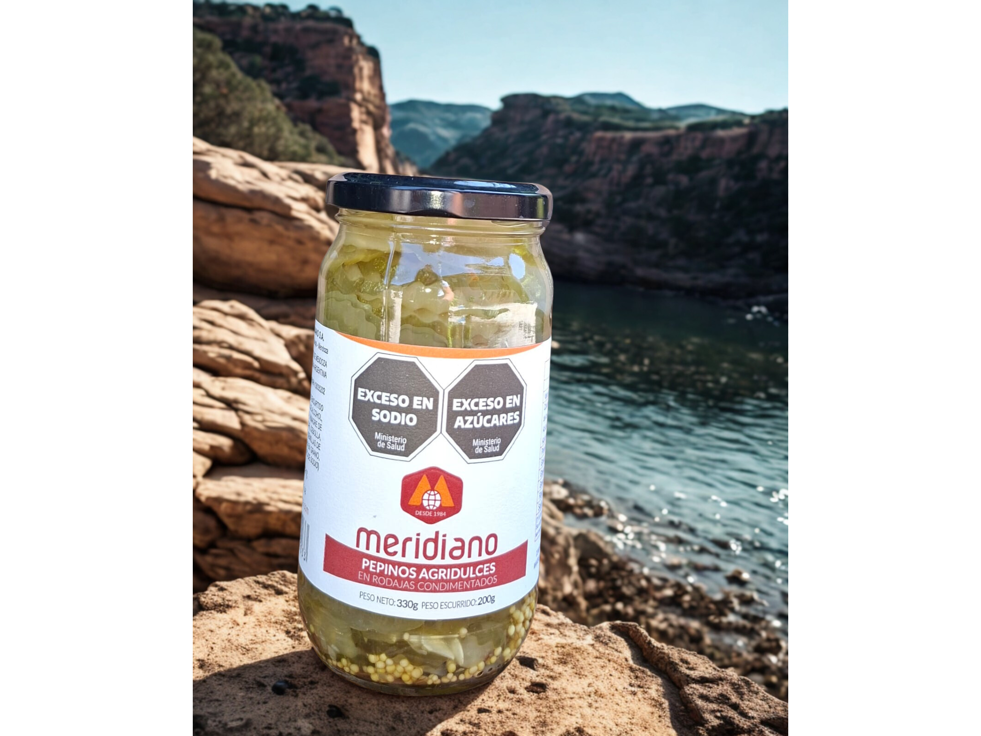 Pepinos Condimentados