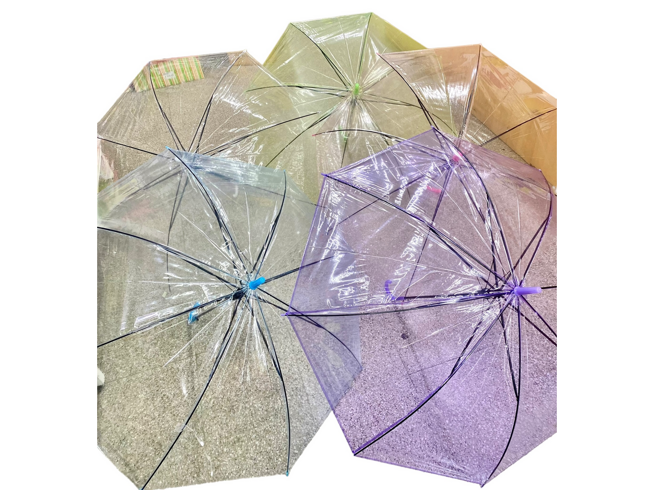 Paraguas transparente