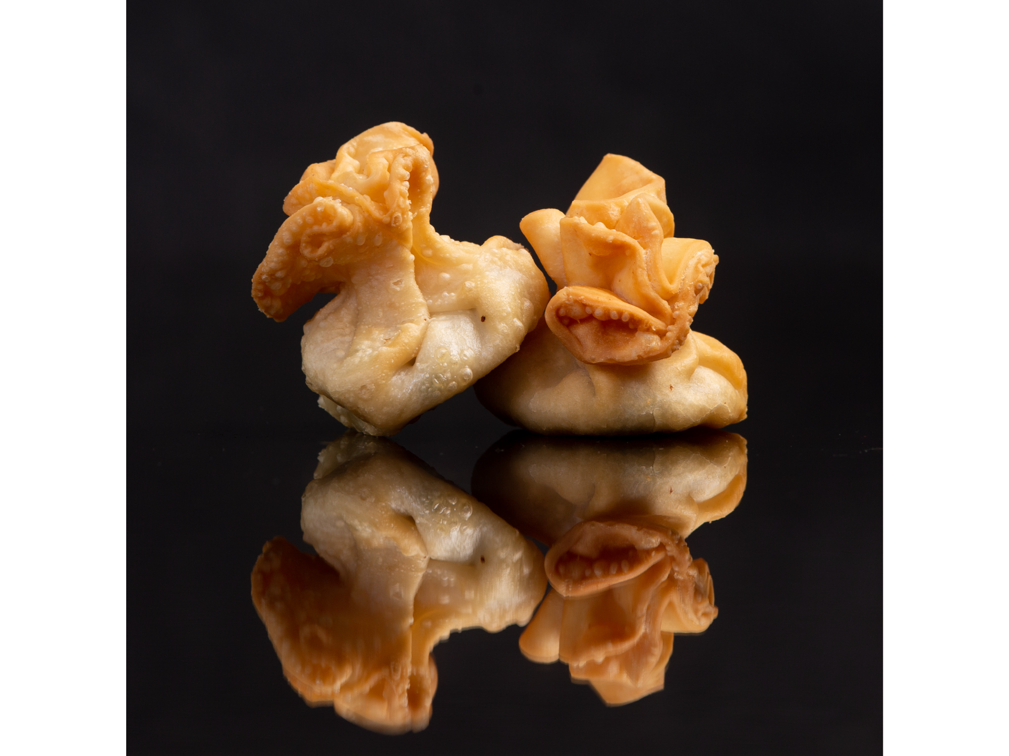 DUMPLING X5