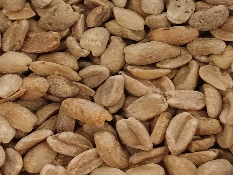 Maní pelado con sal (kg)