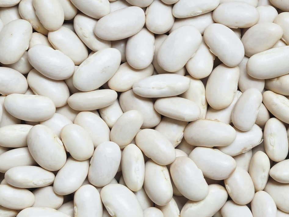 Poroto manteca premium (kg)