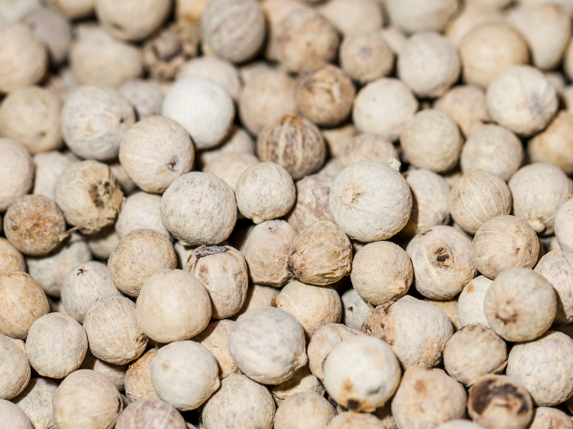 Pimienta blanca en granos (500g)