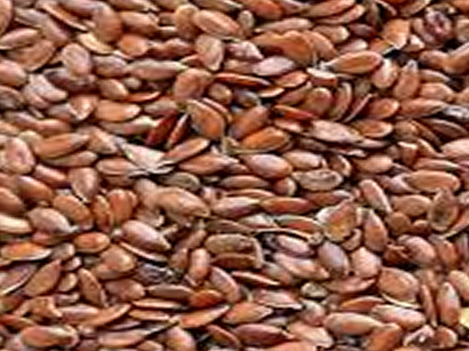 Semillas de lino (kg)