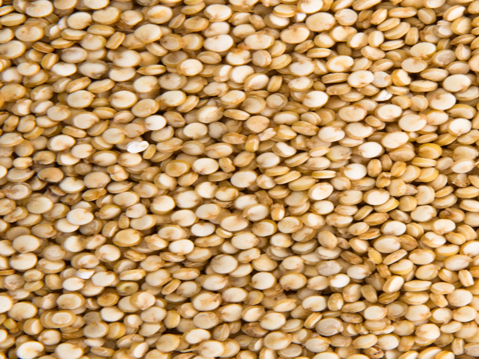 Semillas de quinoa premium (kg)