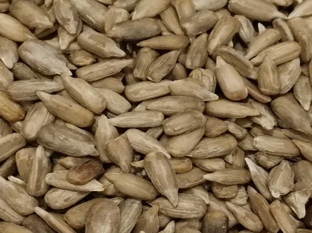 Semillas de girasol (kg)