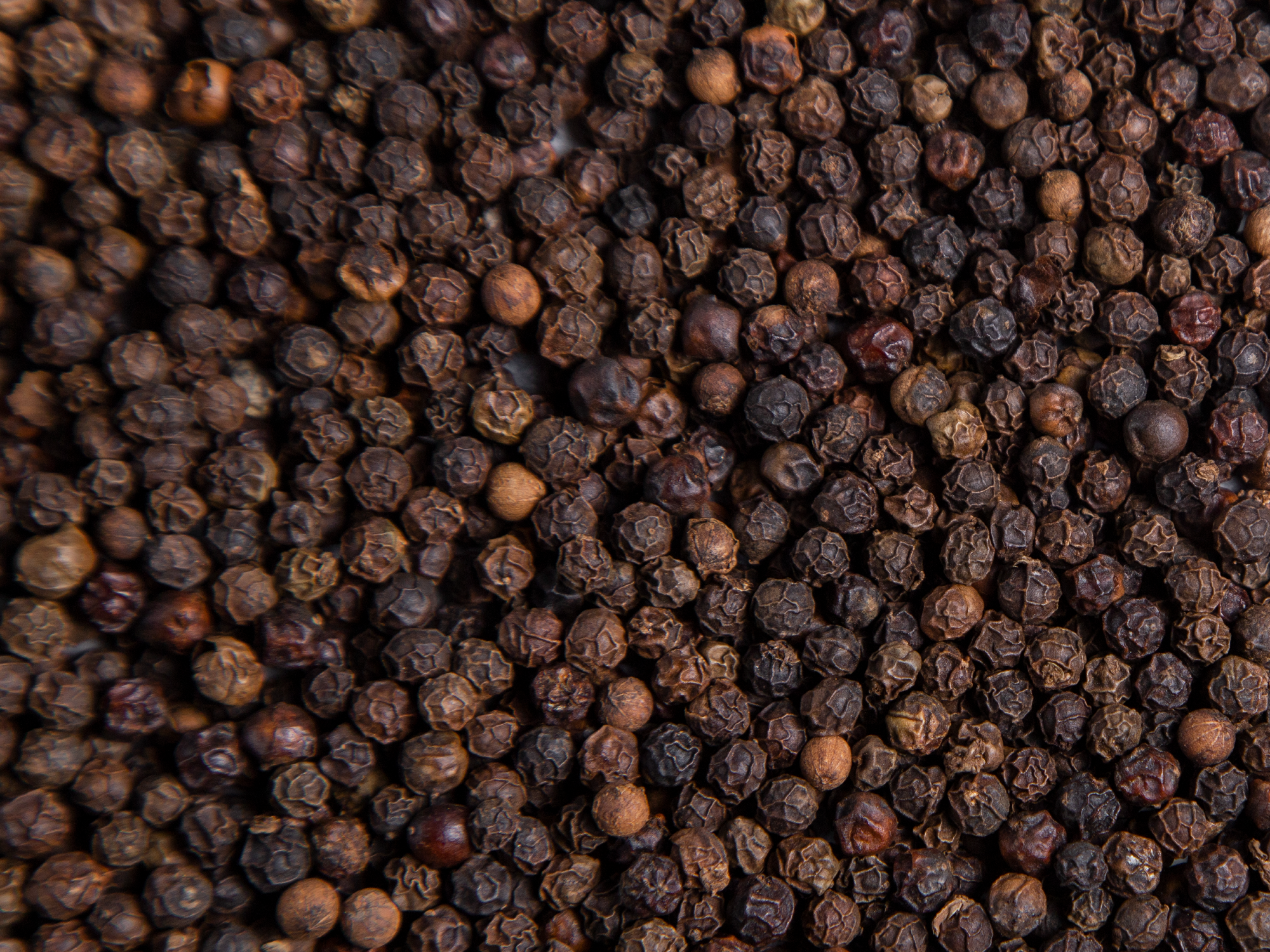 Pimienta negra en granos (500g)