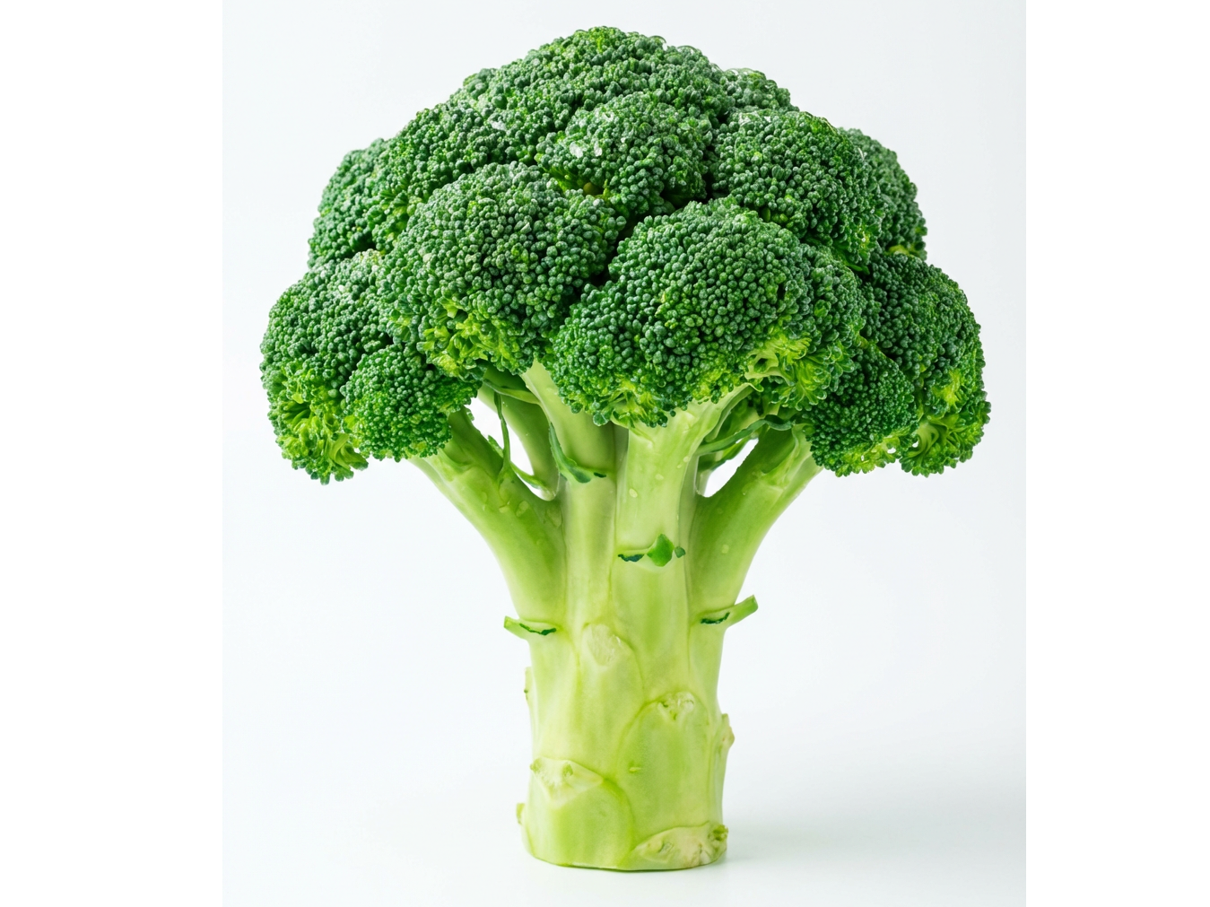 BROCOLI POR UNIDAD