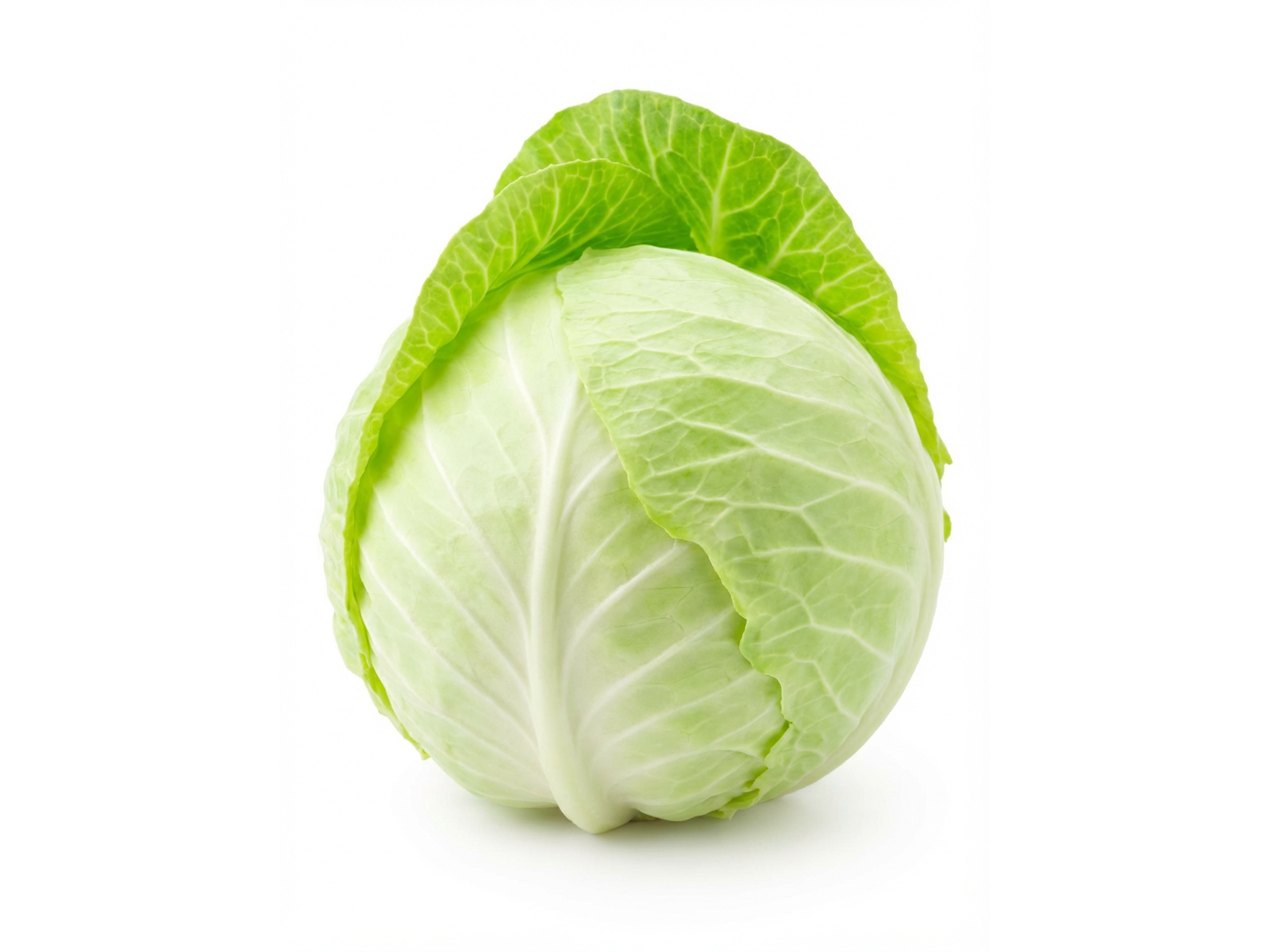 REPOLLO BLANCO X UNIDAD